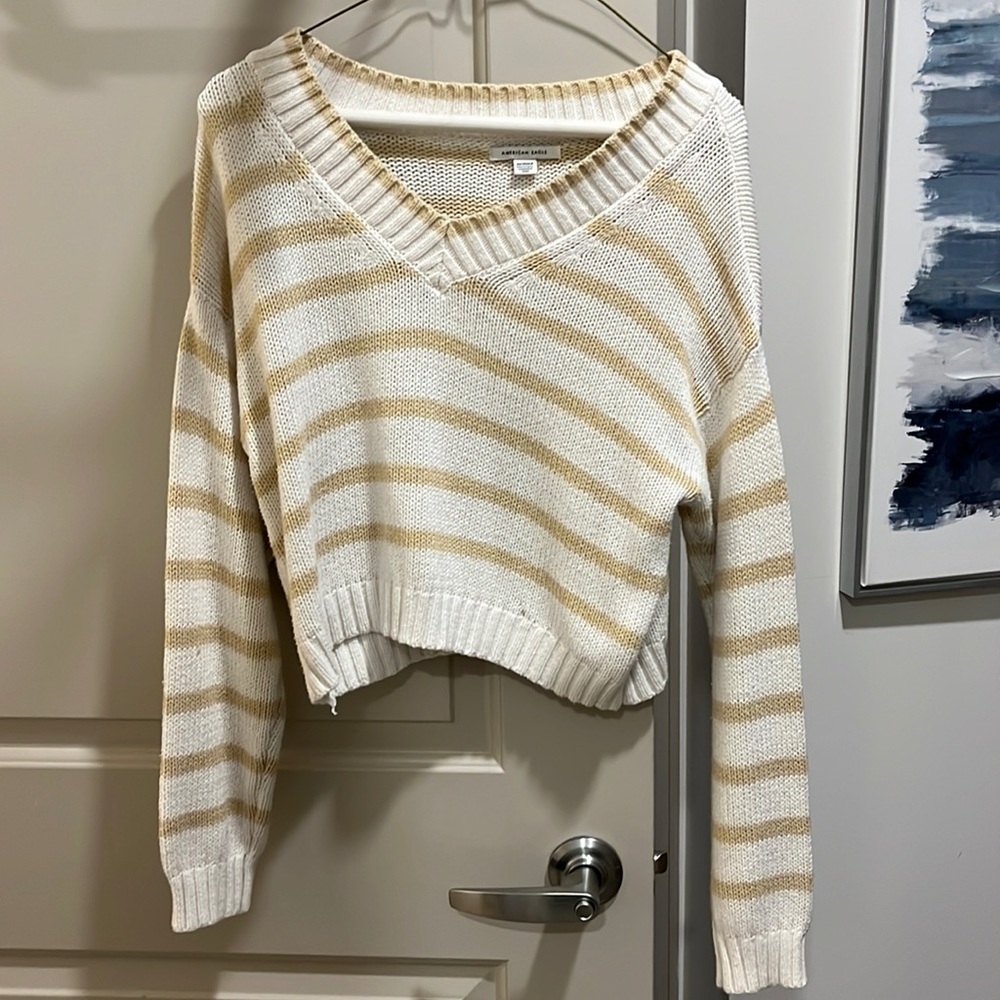 American eagle crop sweater